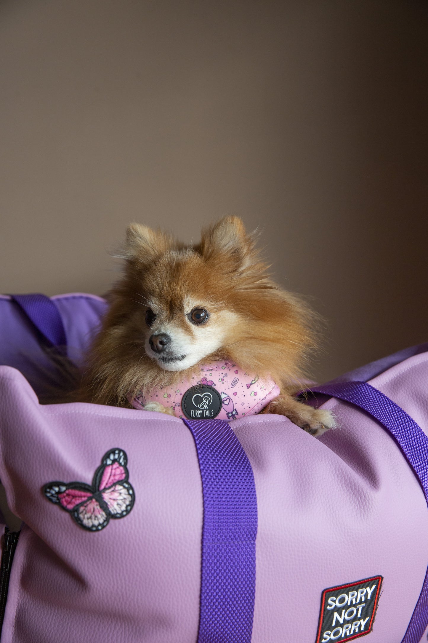 LUXURY DOG CAR SEAT / TRAVEL BAG - "COTTON CANDY"