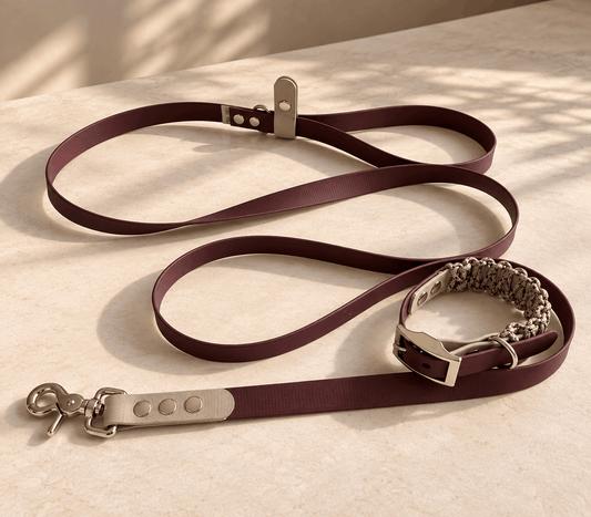 Espresso Cream Biothane Leash