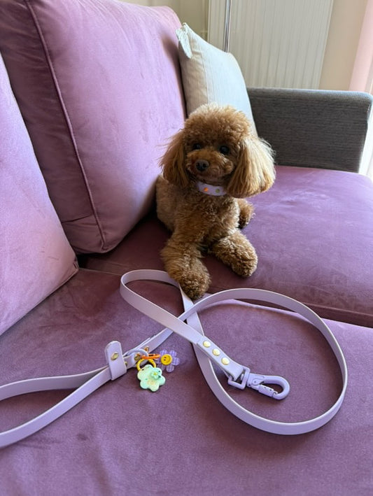 Βiothane Leash - Pastel Purple