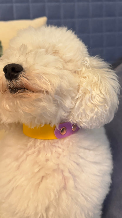 Two Tone Waterproof Collar -Lilac & Yellow - Rose Gold Accessories