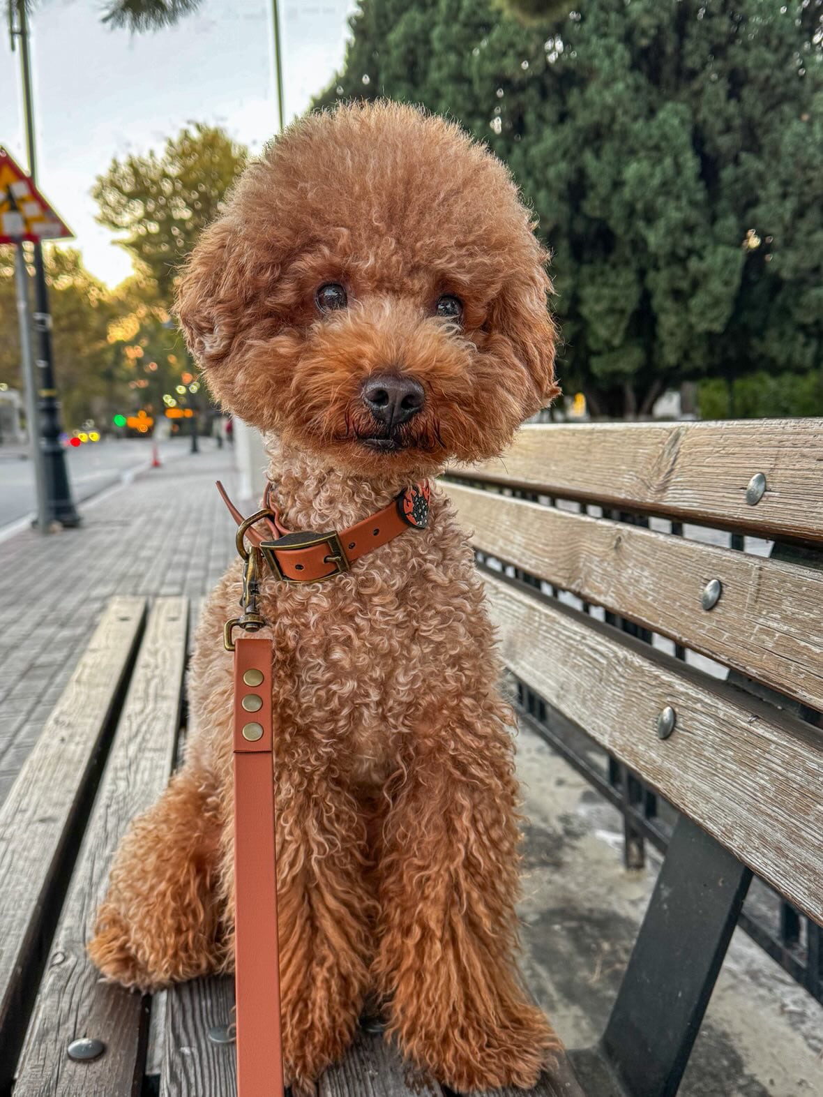 Biothane Handsfree Leash -Light Brown