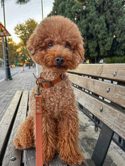 Biothane Handsfree Leash -Light Brown