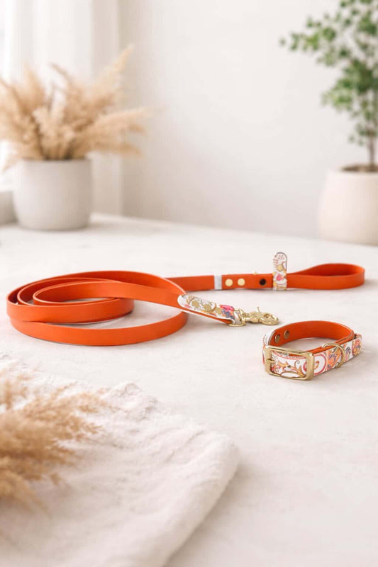 Βiothane Leash - Amber Paisley