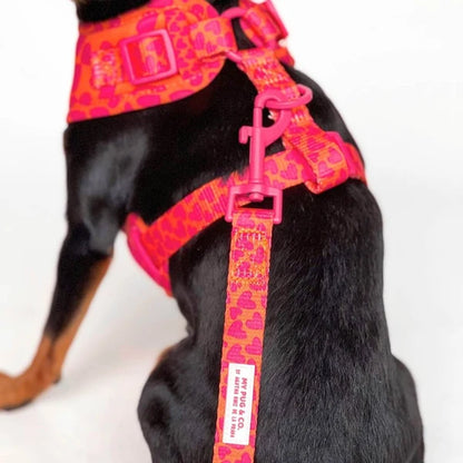 Hearts Leash by Agatha Ruiz de la Prada