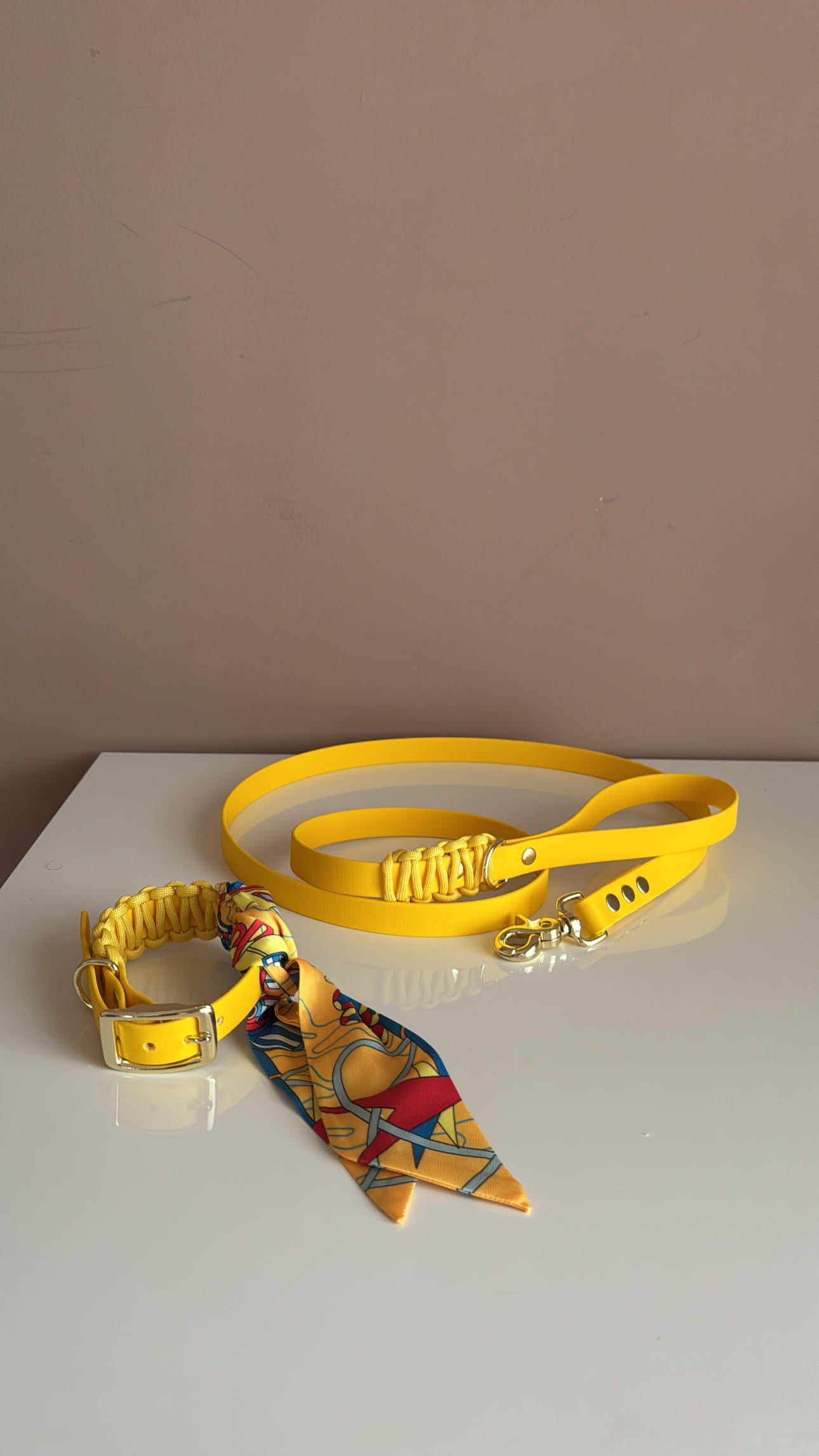 Sunburst Biothane collar