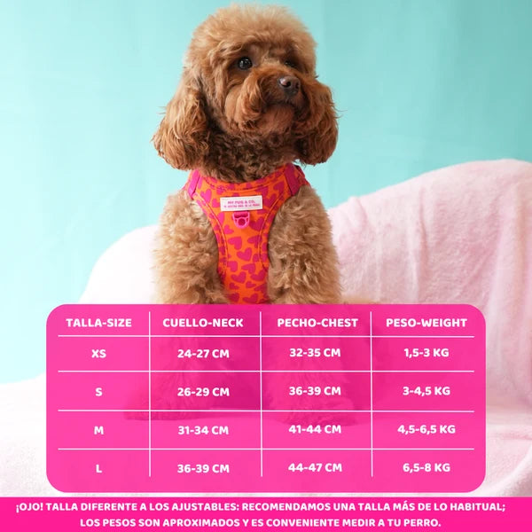 Hearts Step-In Harness by Agatha Ruiz de la Prada