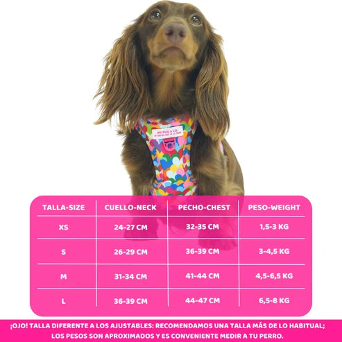 Pop Hearts Step-In Harness by Agatha Ruiz de la Prada
