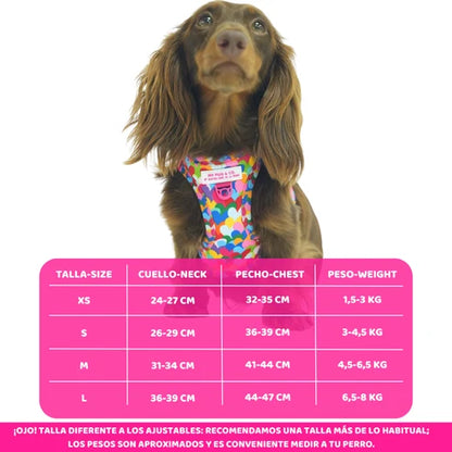 Pop Hearts Step-In Harness by Agatha Ruiz de la Prada