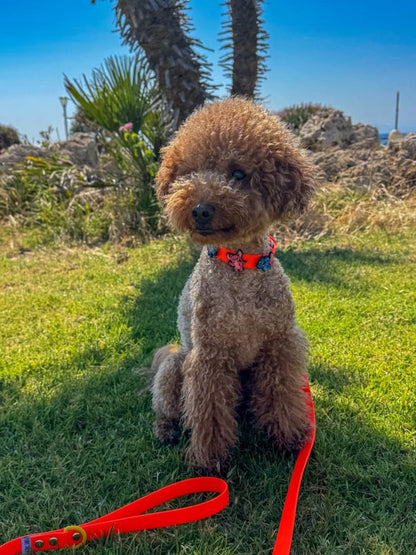 Βiothane Leash - Orange