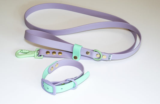 Βiothane Leash  Purple-Green Safety loop