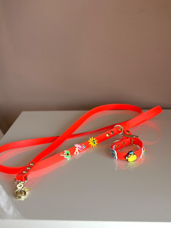 Βiothane Leash - Orange