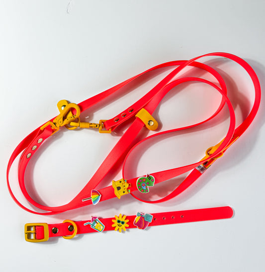 Design Your Own Biothane Handsfree Leash