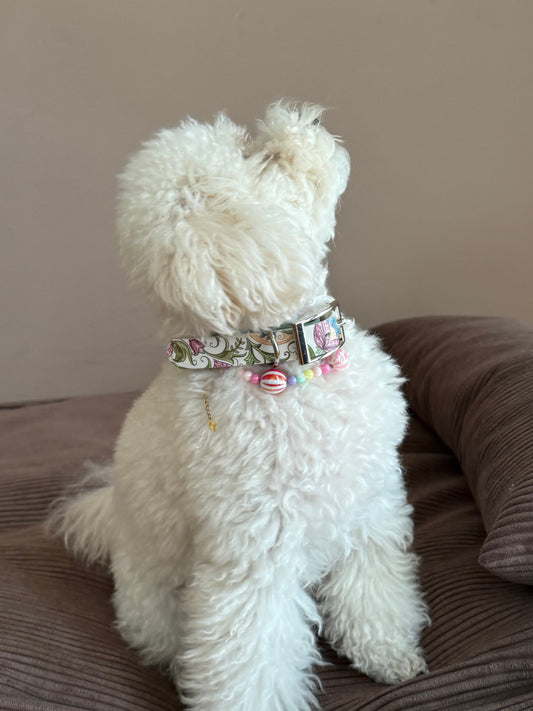 Printed Biothane collar - Sage Pastel Paisley