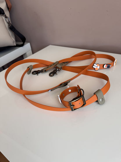 Biothane Handsfree Leash -Autumn Leaves