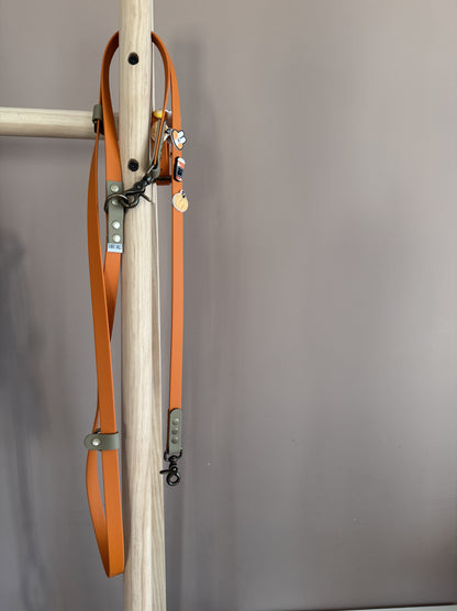 Biothane Handsfree Leash -Autumn Leaves