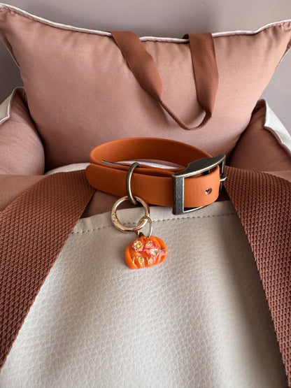 Biothane collar - Autumn Leaves
