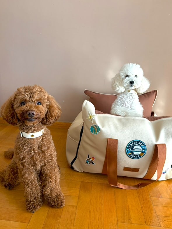 Biothane collar - Arctic Wolf