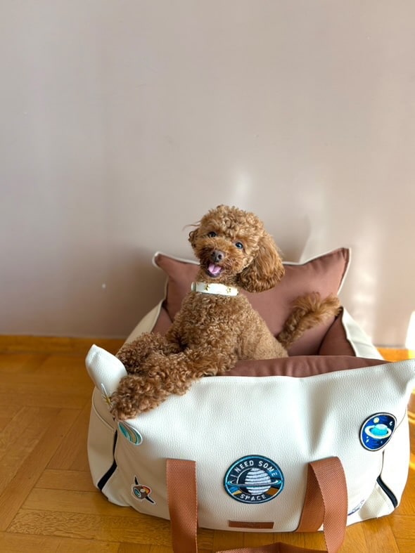 Biothane collar - Arctic Wolf