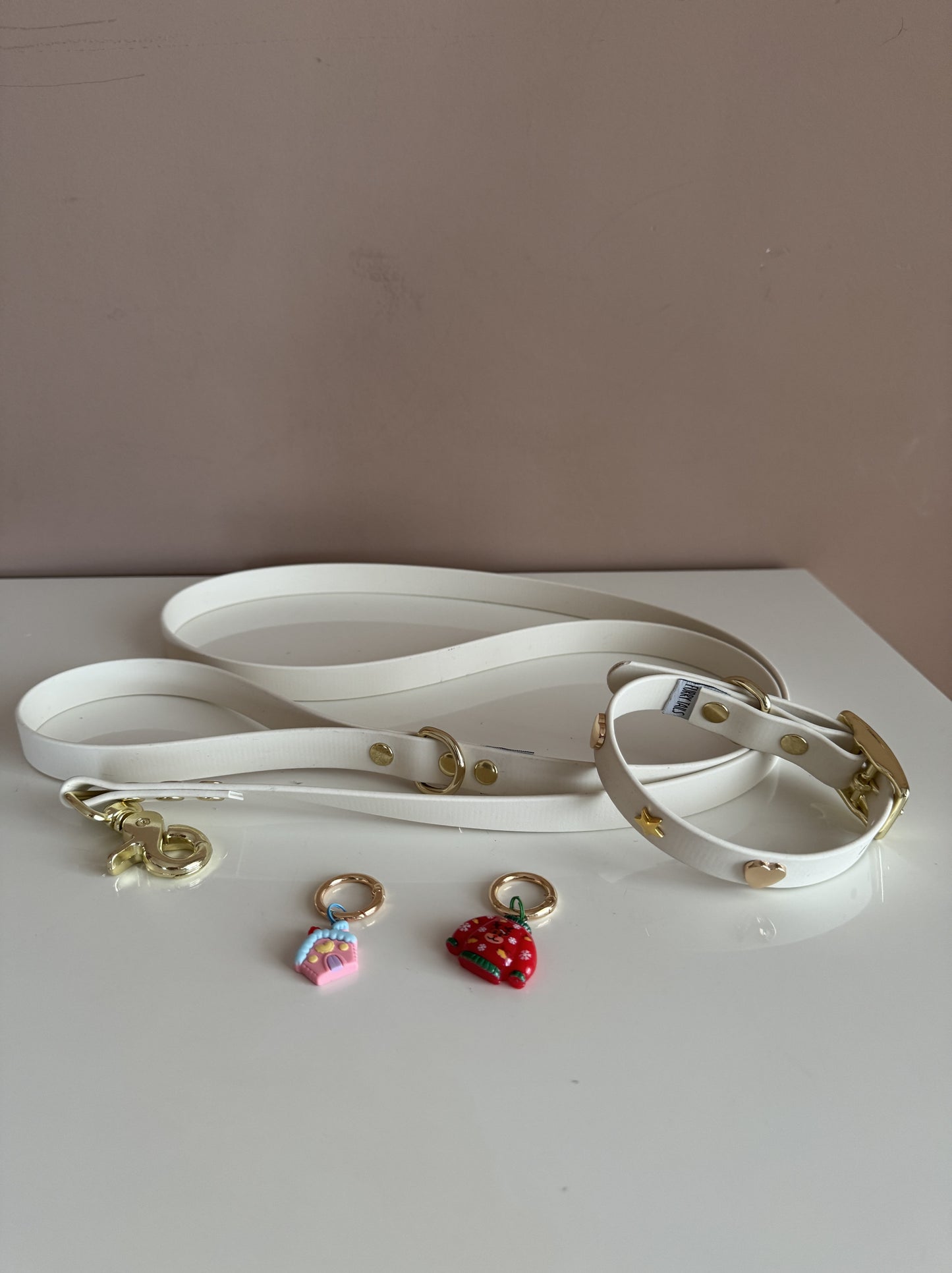 Arctic Wolf Biothane Leash