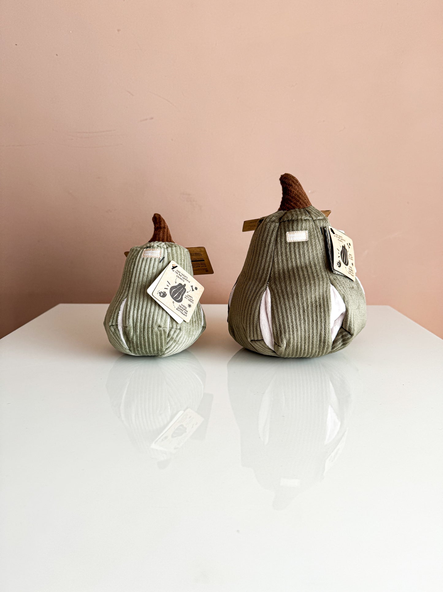 Butternut Enrichment Toy