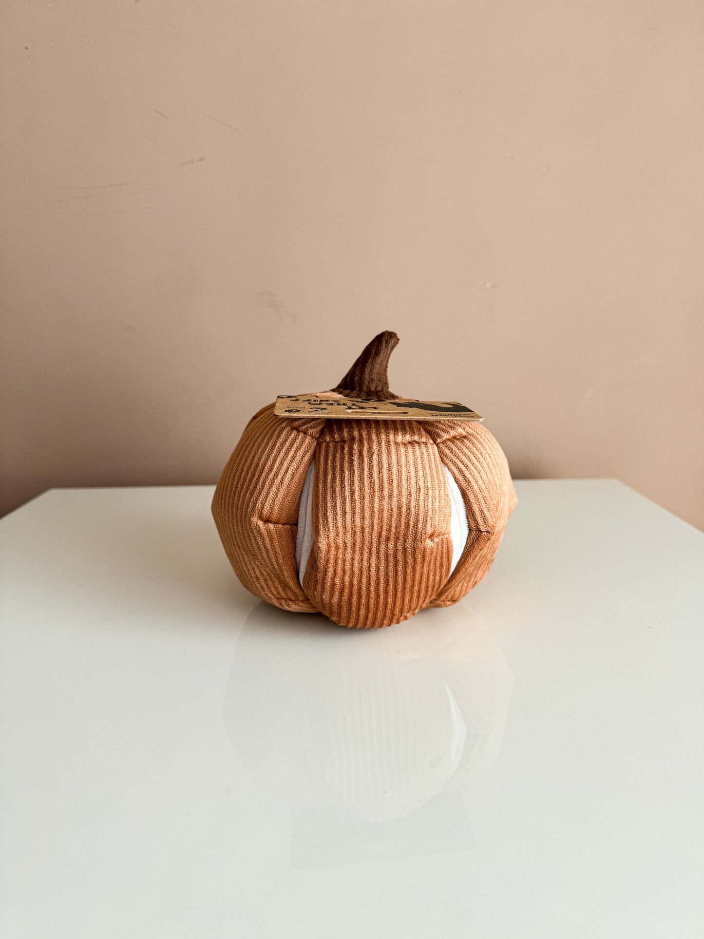 Cinderella Enrichment Dog Toy