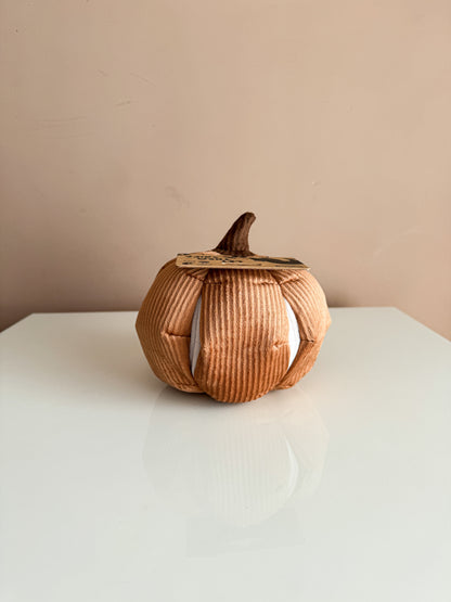 Cinderella Enrichment Dog Toy