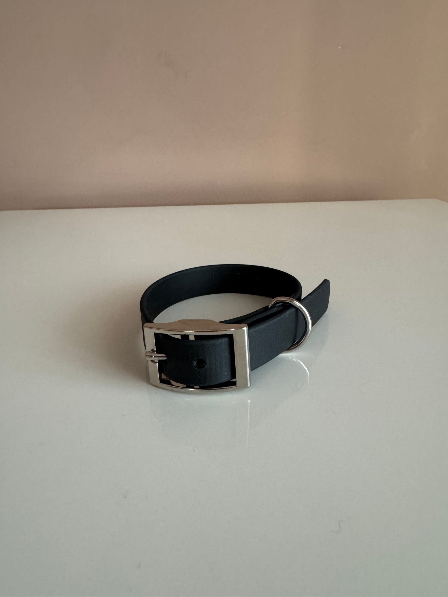 Biothane collar - Black - Silver accessories