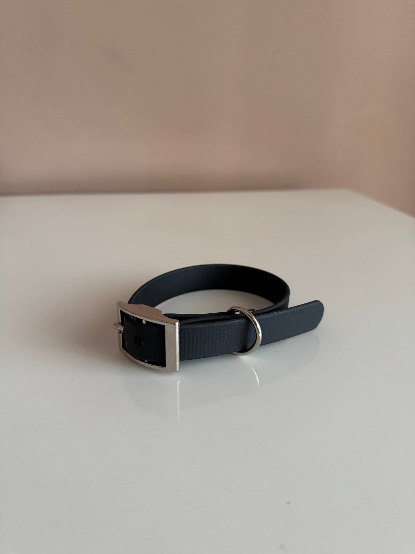 Biothane collar - Black - Silver accessories