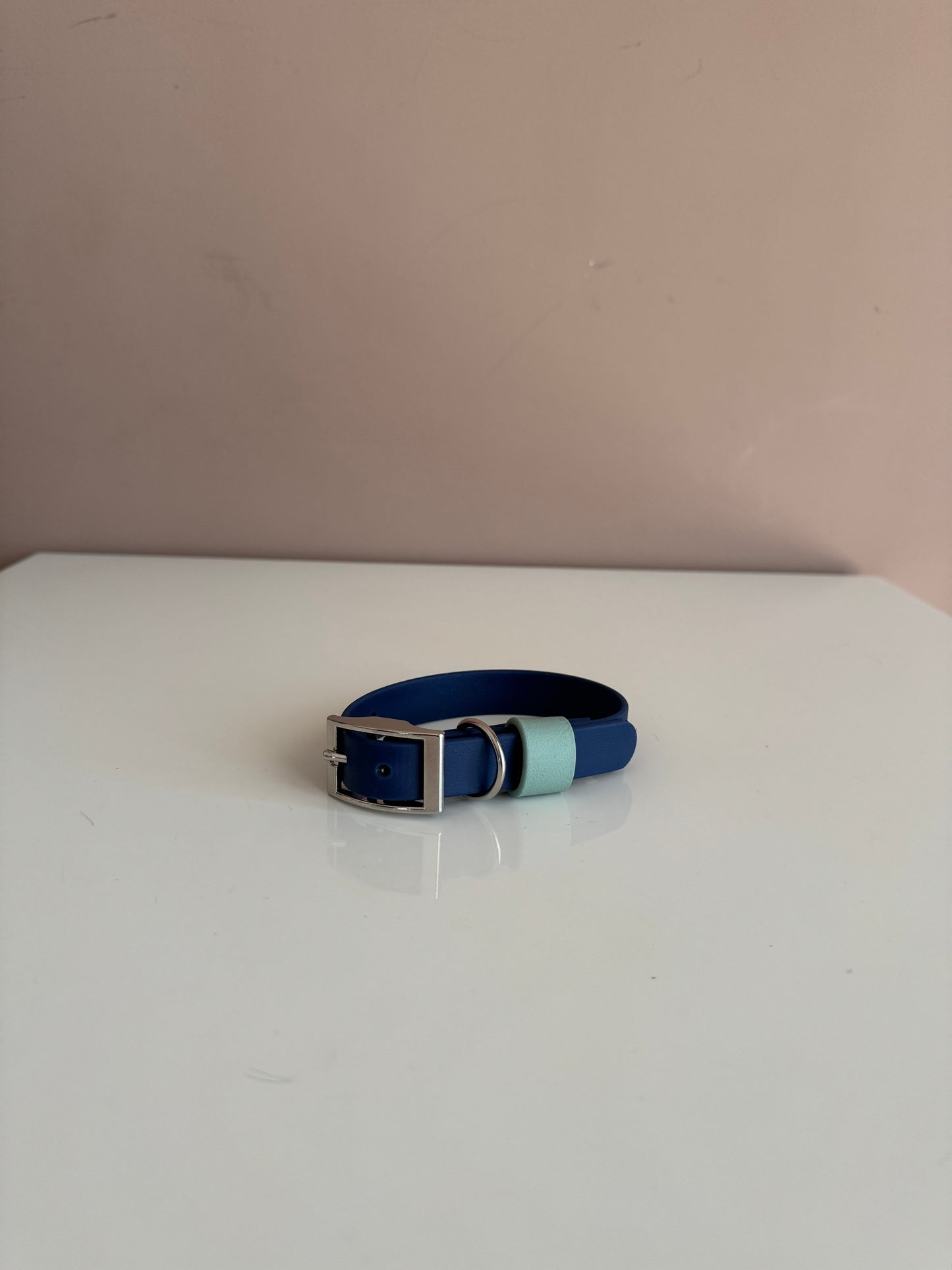 Biothane collar - Blue & Mint