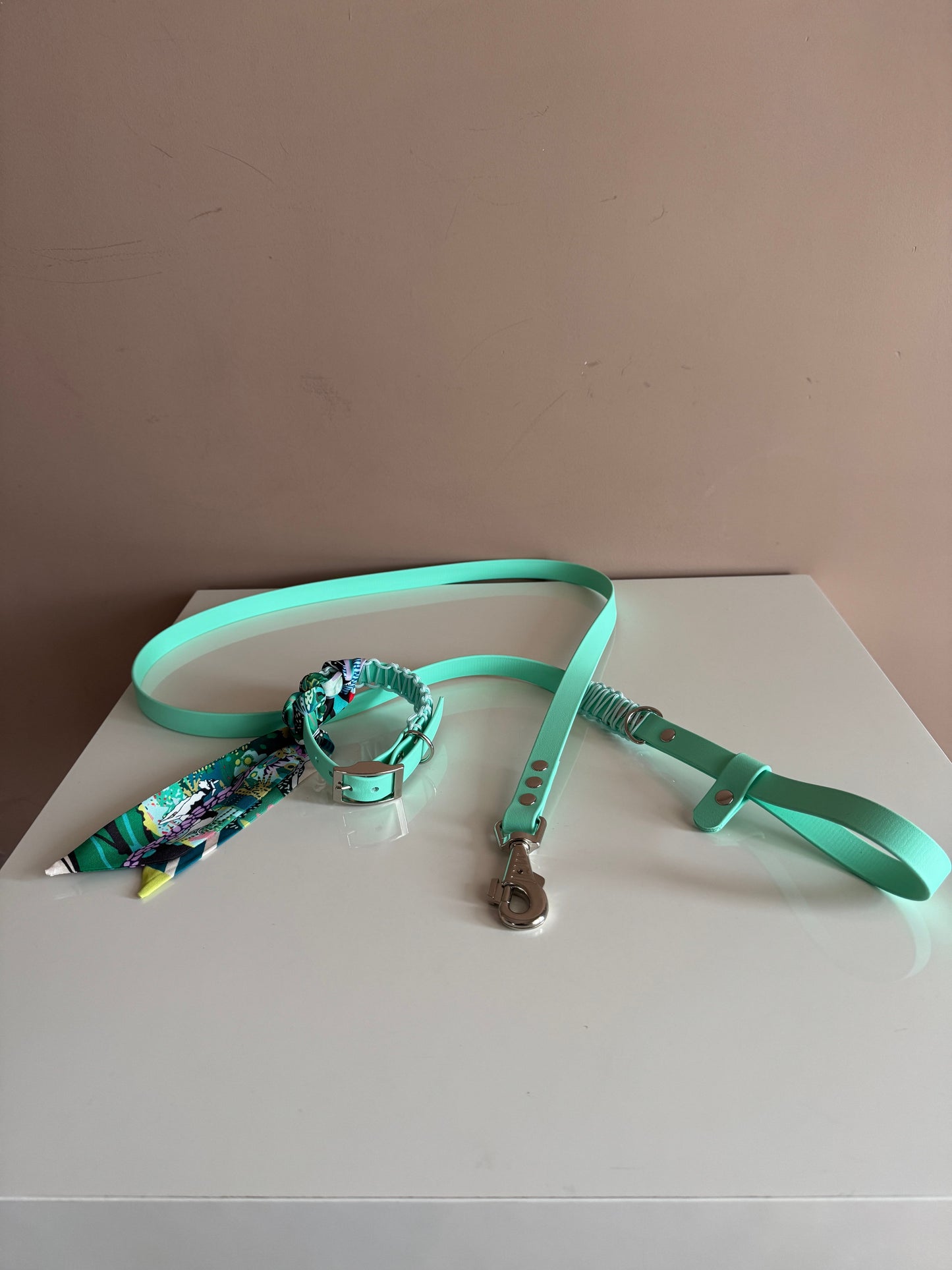 🌿 Caribbean Breeze Biothane Leash