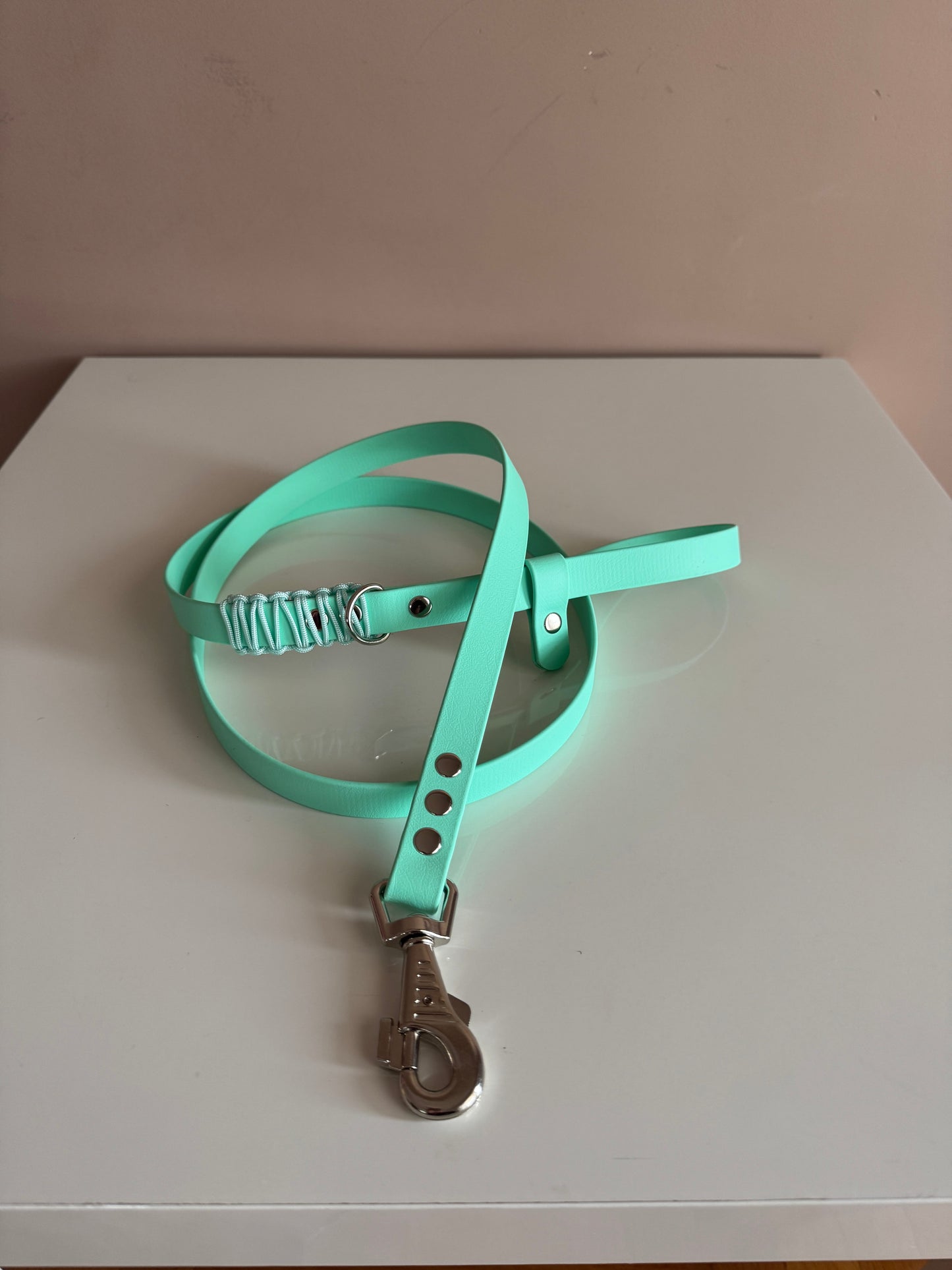 🌿 Caribbean Breeze Biothane Leash