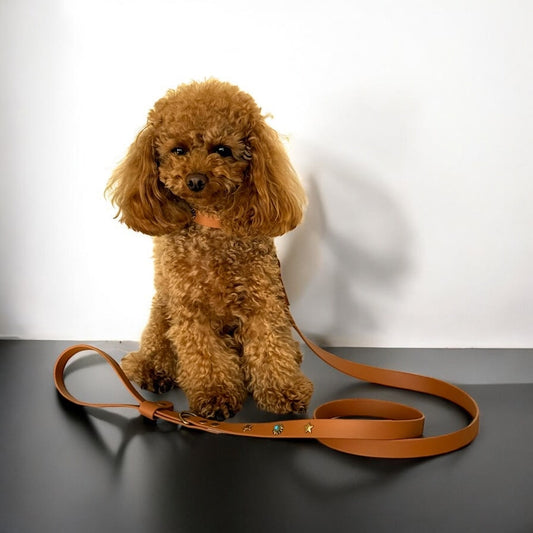 Βiothane Leash Brown -Star Studs-  Safety loop