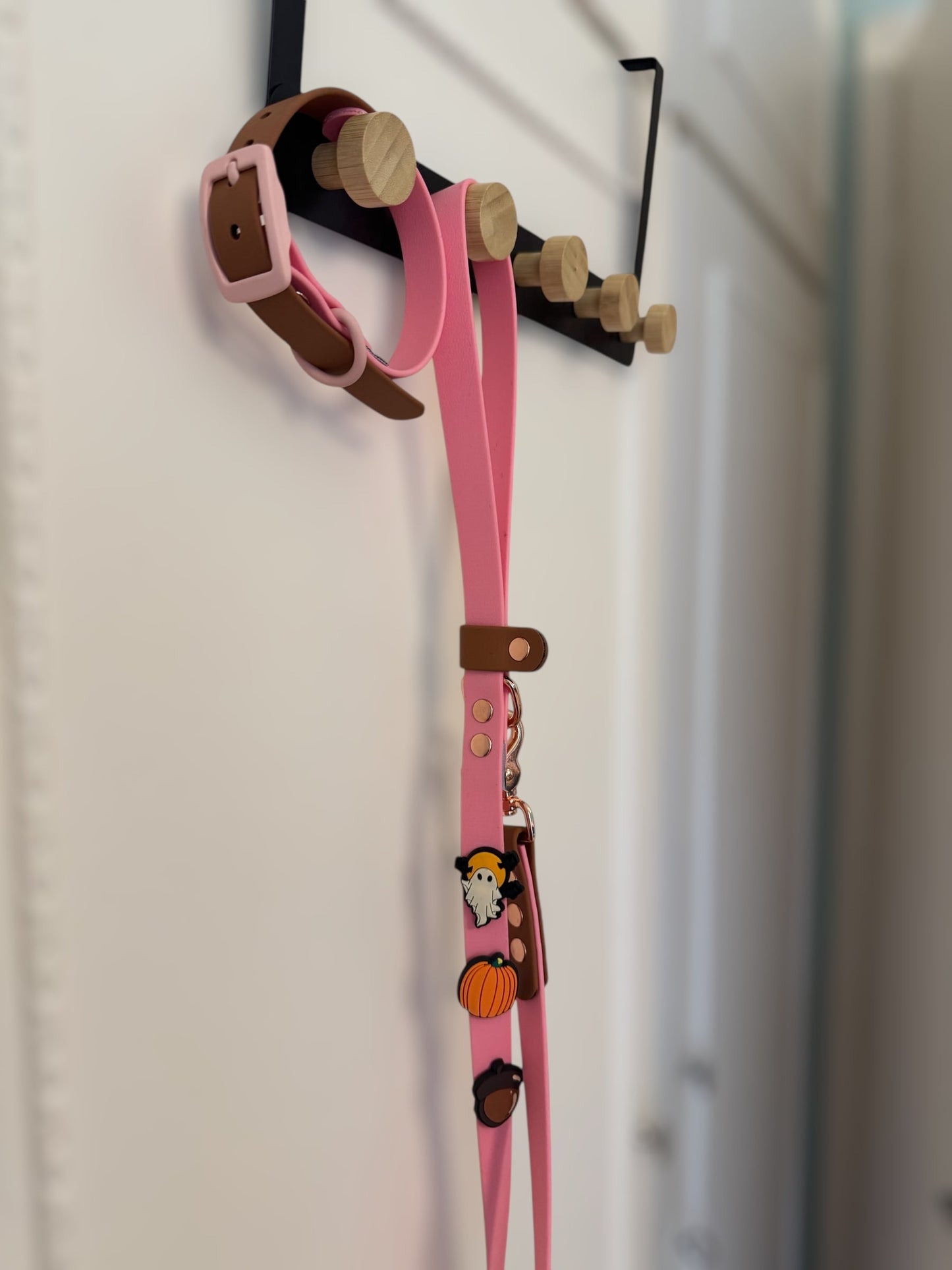 Σχεδίασε το Δικό σου Biothane Περιλαίμιο 