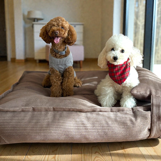 Κρεβάτι σκύλου - Lazy