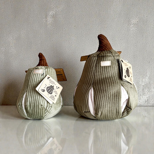 Butternut Enrichment Toy