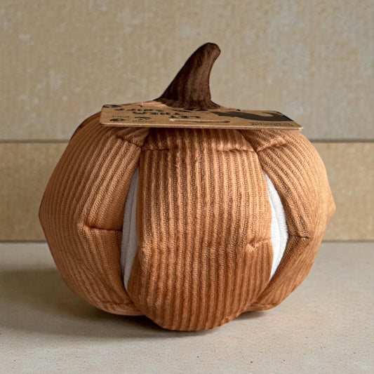 Cinderella Enrichment Dog Toy