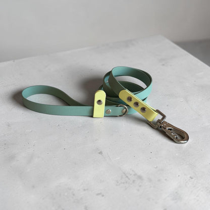 Βiothane Leash - Sage & Lemon Sorbet