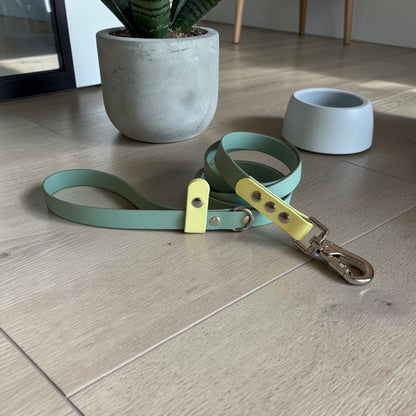Βiothane Leash - Sage & Lemon Sorbet