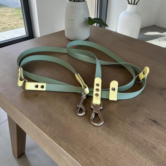 Biothane Handsfree Leash - Sage & Lemon Sorbet
