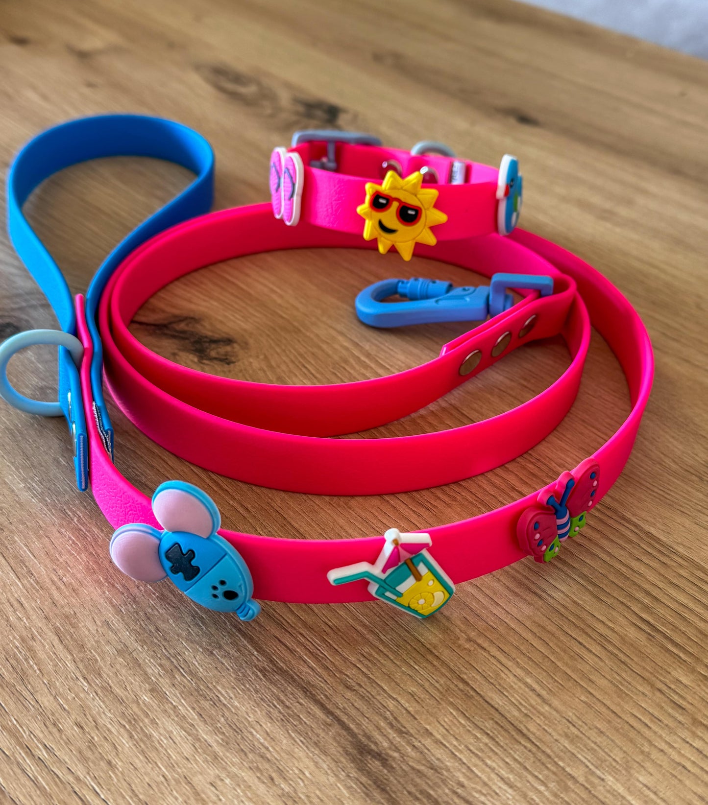 Waterproof Leash Neon Pink – Blue with PVC Charms