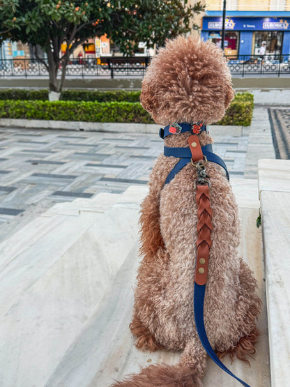 Λουρί Biothane – Παστέλ Μωβ