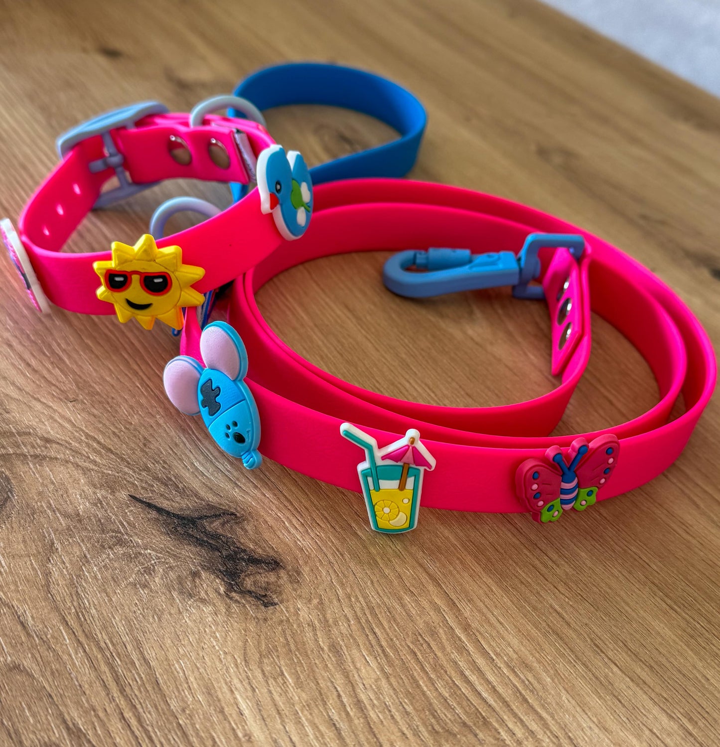Waterproof Leash Neon Pink – Blue with PVC Charms