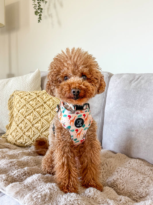 Adjustable Dog Harness - "Out of Afrika"