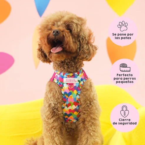 Pop Hearts Step-In Harness by Agatha Ruiz de la Prada